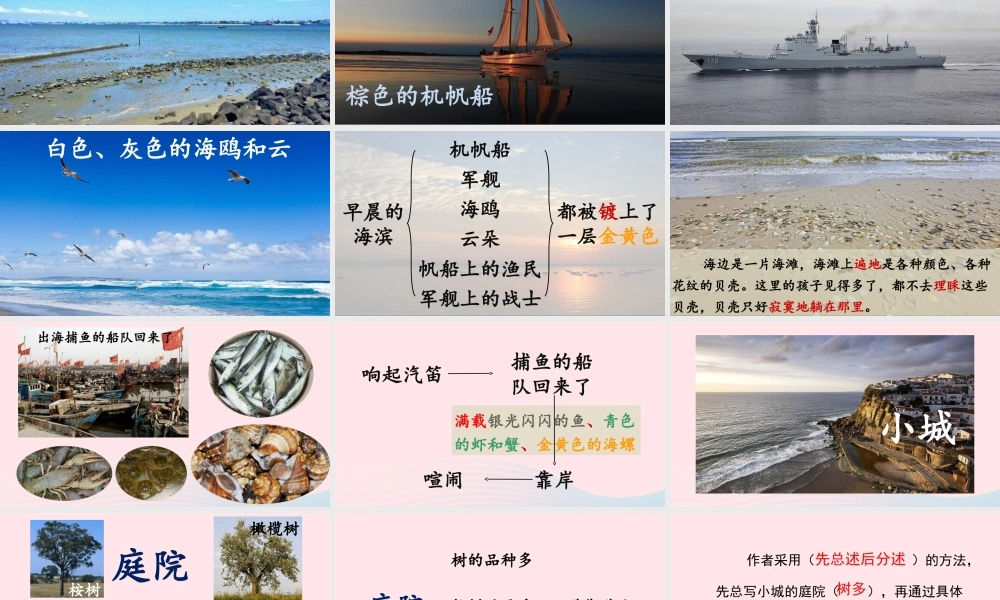 秋三年级语文上册 第六单元 19《海滨小城》课堂教学课件 新人教版-新人教版小学三年级上册语文课件