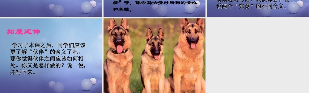 春三年级语文下册 第三单元 第12课《伙伴》教学课件 冀教版-冀教版小学三年级下册语文课件