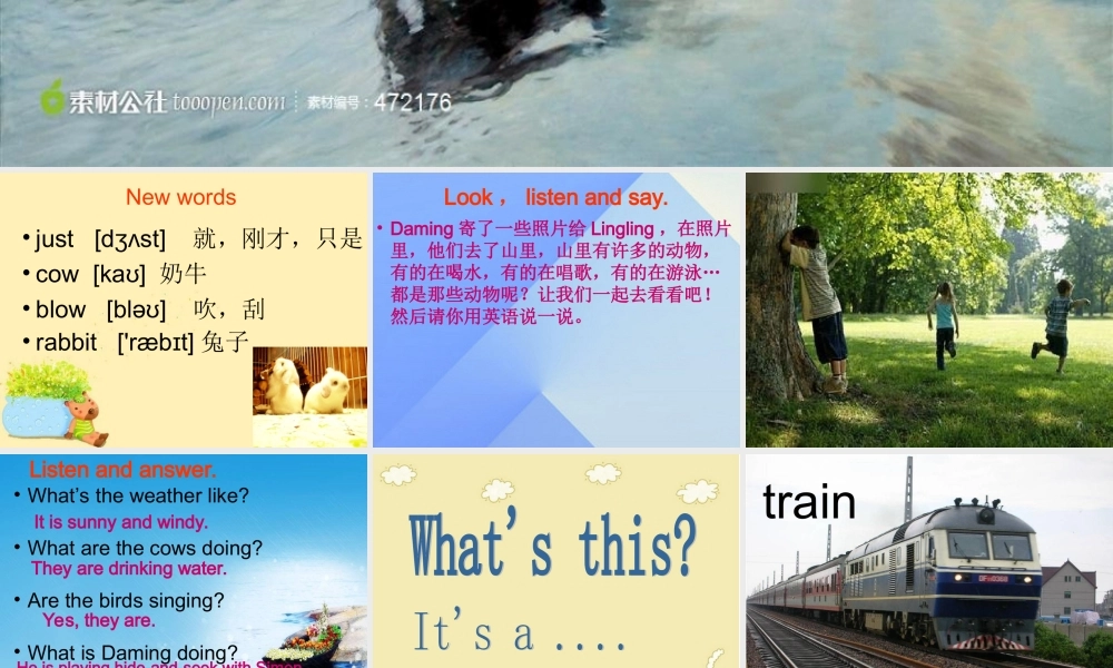 春六年级英语下册 Module 3 Unit 2《The cows are drinking water》课件1 （新版）外研版（三起）-（新版）外研版小学六年级下册英语课件