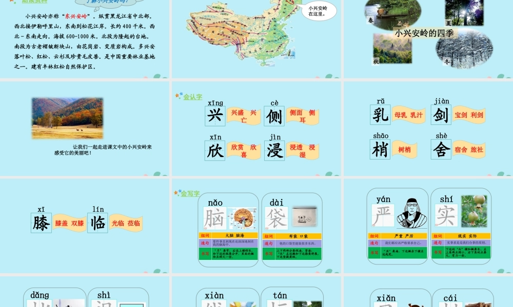 秋三年级语文上册 第六单元 20 美丽的小兴安岭教学课件 新人教版-新人教版小学三年级上册语文课件