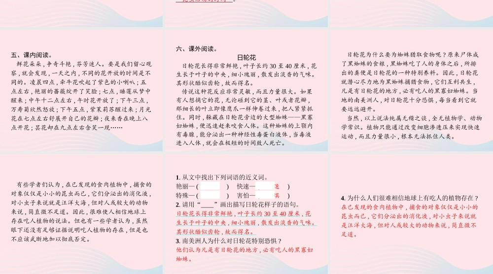 春三年级语文下册 第四单元 13花钟习题课件 新人教版-新人教版小学三年级下册语文课件