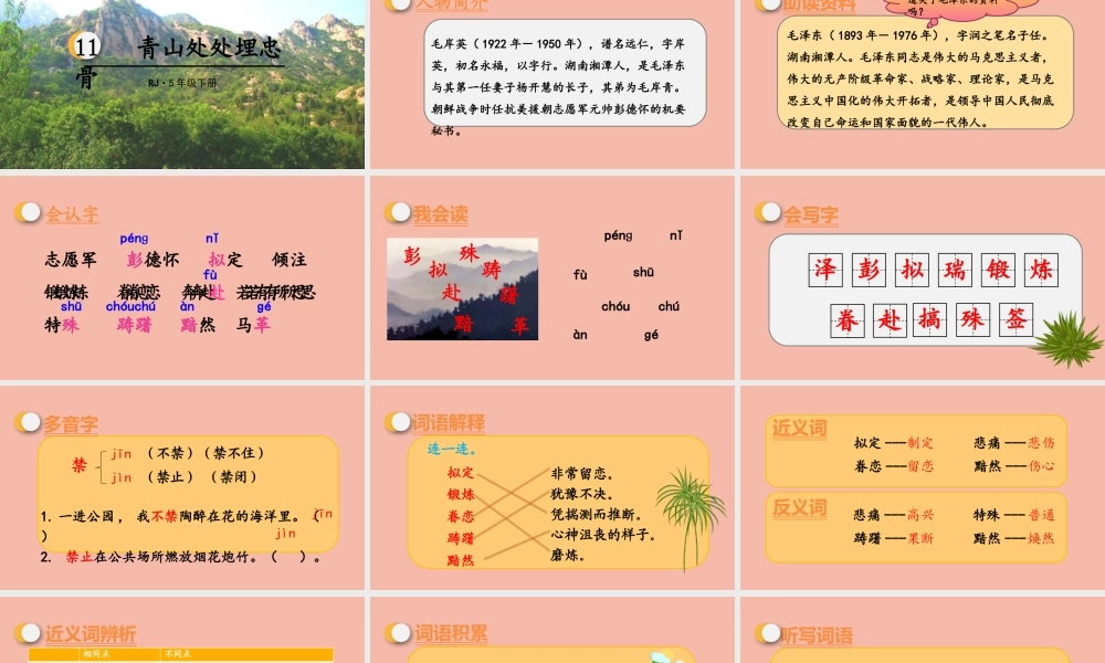 春五年级语文下册 第四单元 第11课 青山处处埋忠骨教学课件 新人教版-新人教版小学五年级下册语文课件