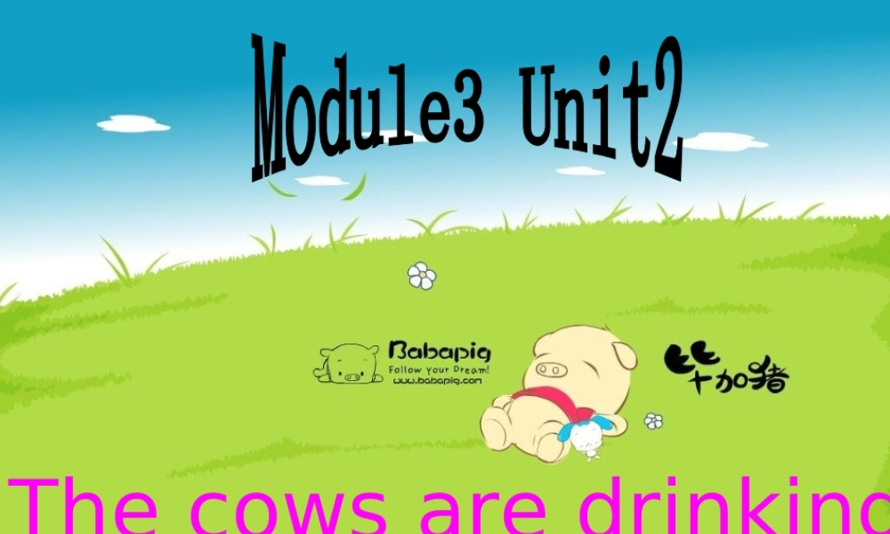 春六年级英语下册 Module 3 Unit 2《The cows are drinking water》课件5 （新版）外研版（三起）-（新版）外研版小学六年级下册英语课件