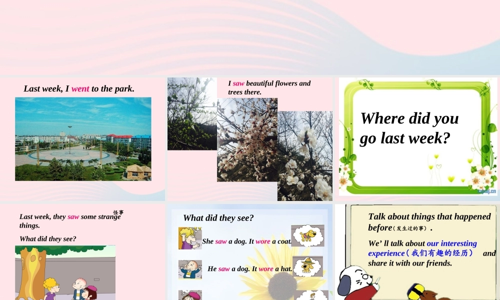 春五年级英语下册 Module 9 Unit 1 We laughed a lot课件 外研版（三起）-外研版小学五年级下册英语课件