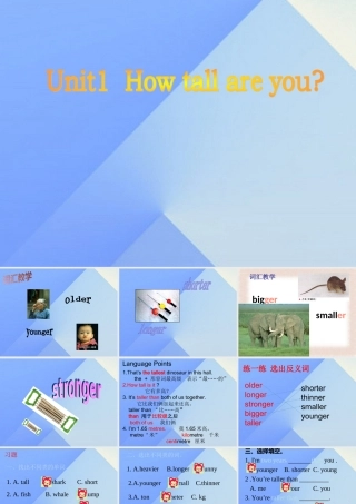 春六年级英语下册 Unit 1《How Tall Are You》课件2 人教PEP版-人教PEP小学六年级下册英语课件