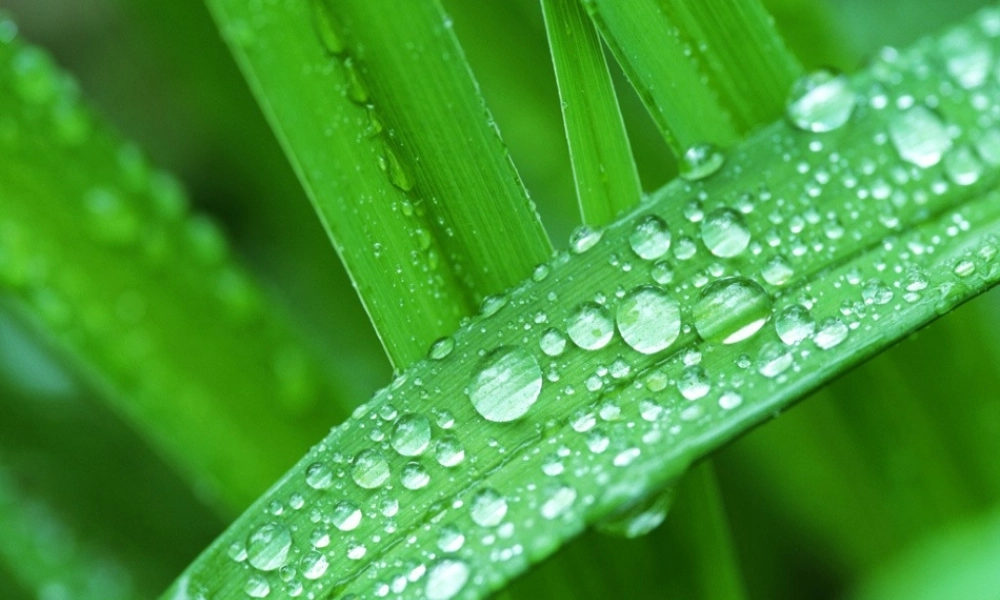 春五年级语文下册 古诗诵读《泊船瓜洲》课件4 沪教版-沪教版小学五年级下册语文课件