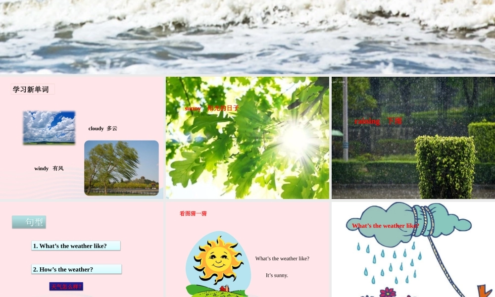 春五年级英语下册 Unit 5 On the beach课件2 剑桥版-人教版小学五年级下册英语课件