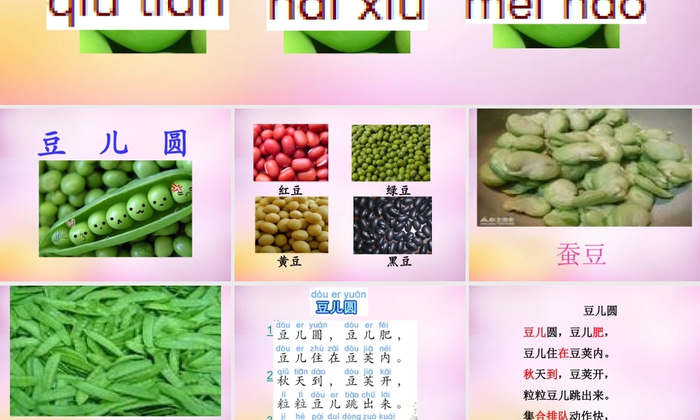 秋一年级语文上册《豆儿圆》课件1 北师大版-北师大版小学一年级上册语文课件