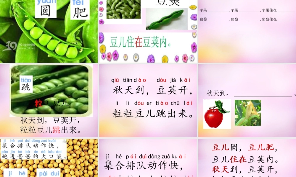 秋一年级语文上册《豆儿圆》课件1 北师大版-北师大版小学一年级上册语文课件