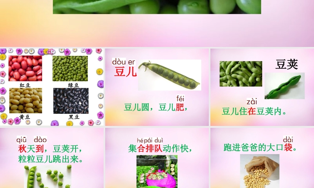 秋一年级语文上册《豆儿圆》课件2 北师大版-北师大版小学一年级上册语文课件