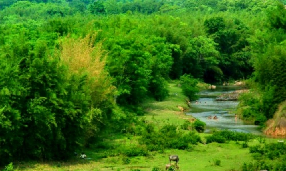 秋三年级语文上册《一个小村庄的故事》课件5 沪教版-沪教版小学三年级上册语文课件