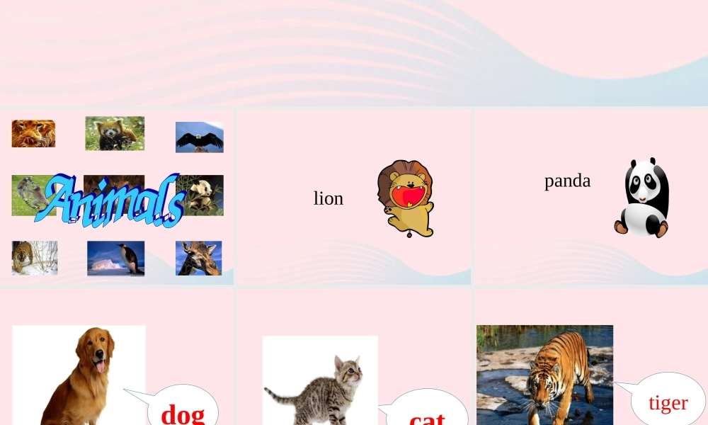 春四年级英语下册 Unit 3 Animals课件1 剑桥版-人教版小学四年级下册英语课件