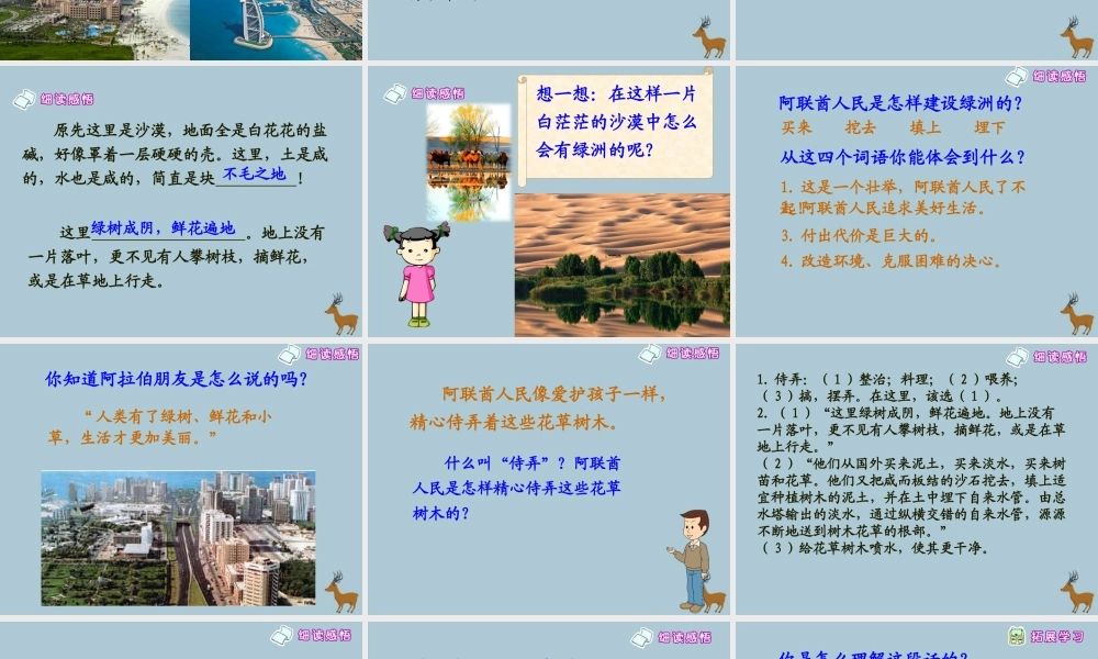 春四年级语文下册 第六单元 18《沙漠中的绿洲》教学课件 苏教版-苏教版小学四年级下册语文课件