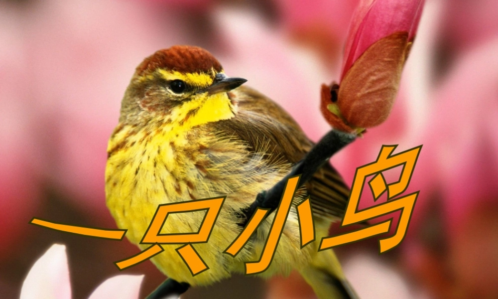 秋三年级语文上册《一只小鸟》课件1 北师大版-北师大版小学三年级上册语文课件