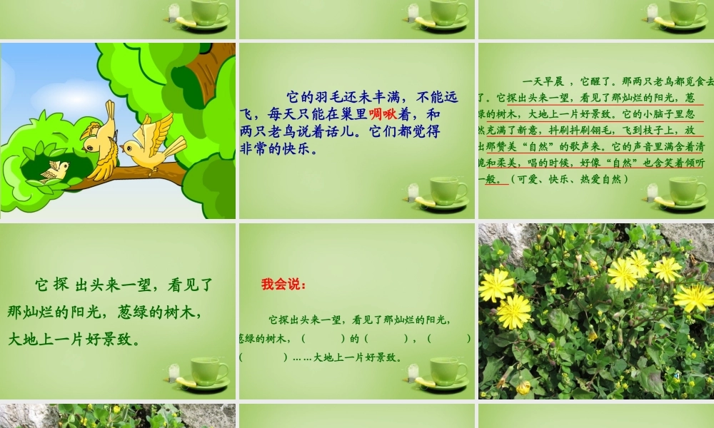 秋三年级语文上册《一只小鸟》课件1 北师大版-北师大版小学三年级上册语文课件