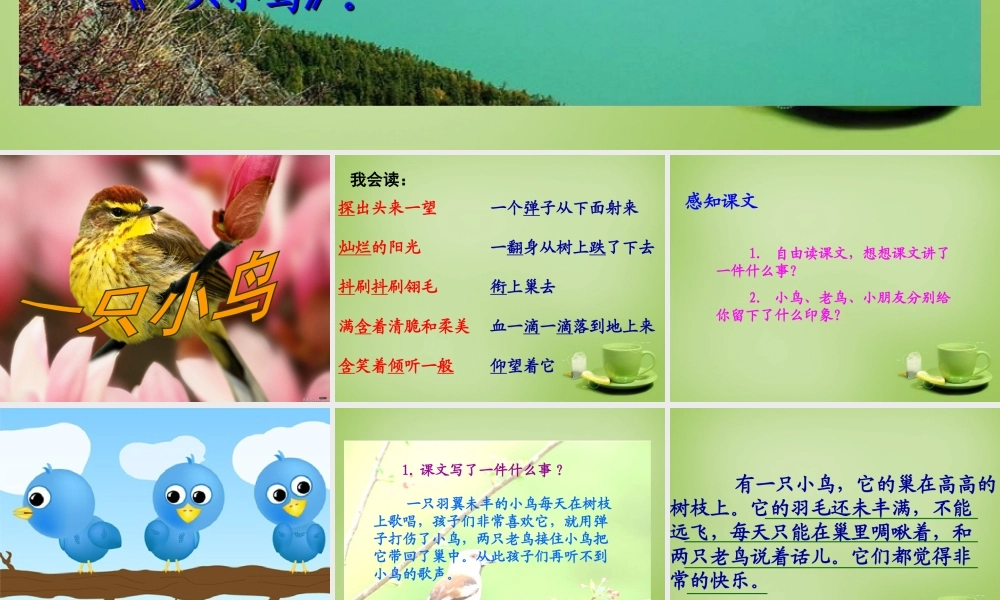 秋三年级语文上册《一只小鸟》课件2 北师大版-北师大版小学三年级上册语文课件