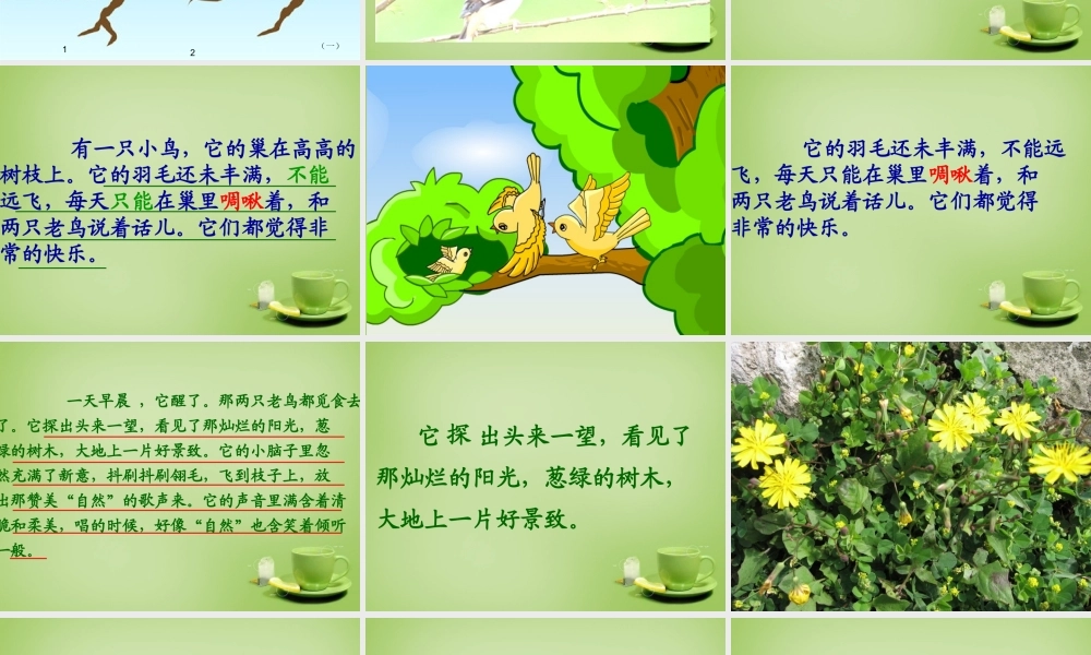 秋三年级语文上册《一只小鸟》课件2 北师大版-北师大版小学三年级上册语文课件