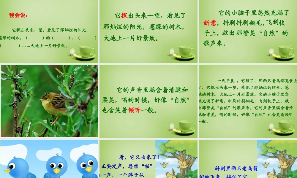 秋三年级语文上册《一只小鸟》课件2 北师大版-北师大版小学三年级上册语文课件