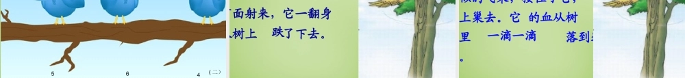 秋三年级语文上册《一只小鸟》课件2 北师大版-北师大版小学三年级上册语文课件