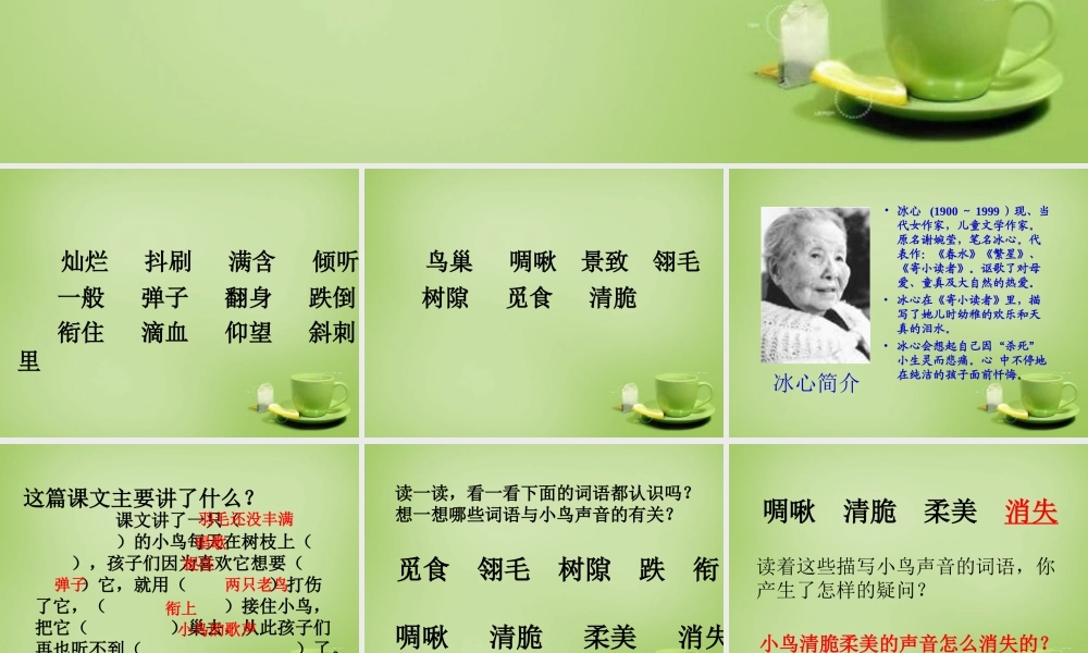 秋三年级语文上册《一只小鸟》课件3 北师大版-北师大版小学三年级上册语文课件