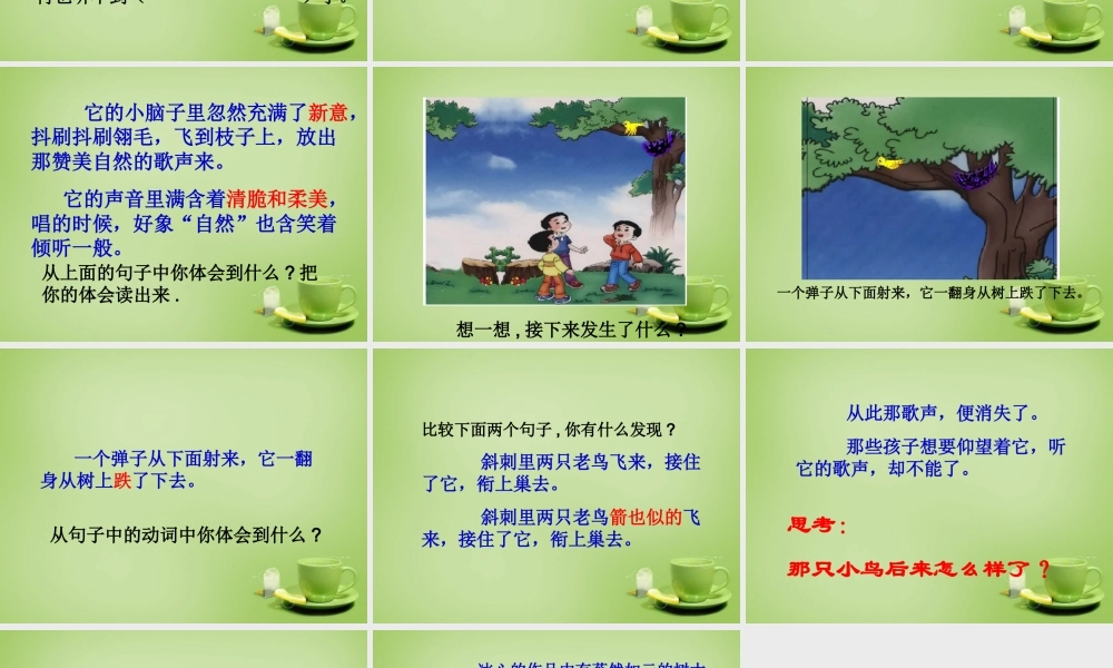 秋三年级语文上册《一只小鸟》课件3 北师大版-北师大版小学三年级上册语文课件