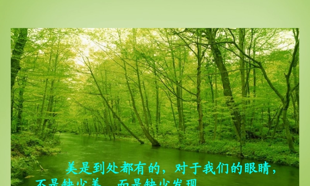 秋三年级语文上册《一只小鸟》课件4 北师大版-北师大版小学三年级上册语文课件