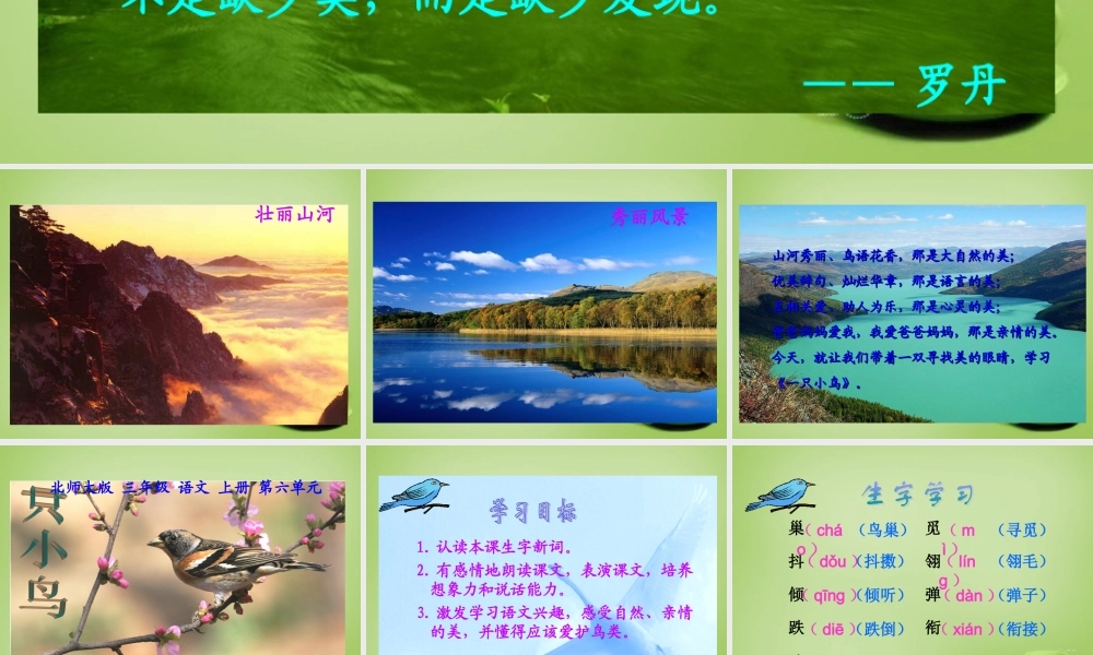 秋三年级语文上册《一只小鸟》课件4 北师大版-北师大版小学三年级上册语文课件