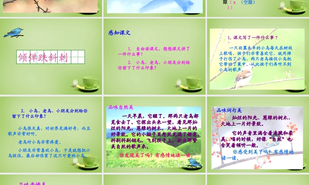 秋三年级语文上册《一只小鸟》课件4 北师大版-北师大版小学三年级上册语文课件