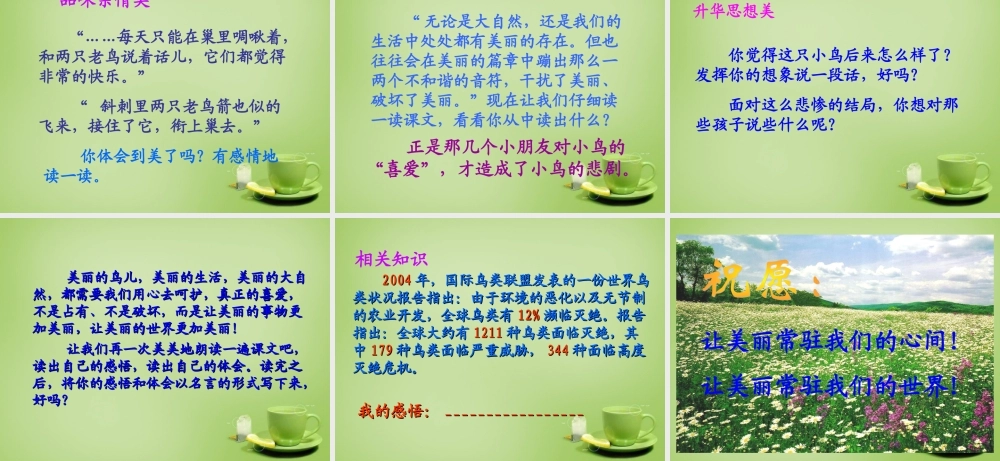 秋三年级语文上册《一只小鸟》课件4 北师大版-北师大版小学三年级上册语文课件