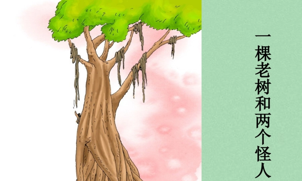 秋三年级语文上册《一株老树和两个怪人》课件1 冀教版-冀教版小学三年级上册语文课件