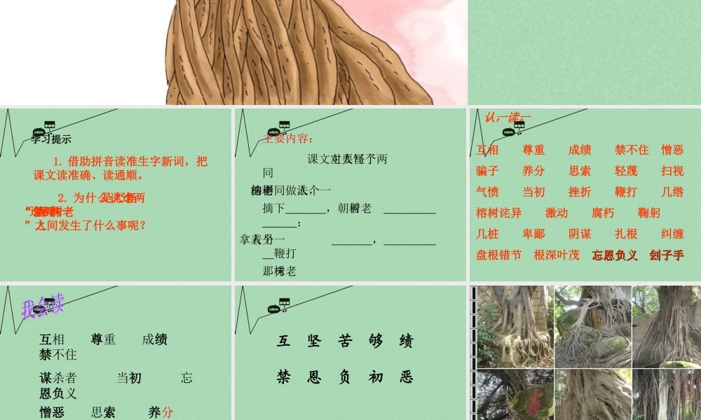 秋三年级语文上册《一株老树和两个怪人》课件1 冀教版-冀教版小学三年级上册语文课件