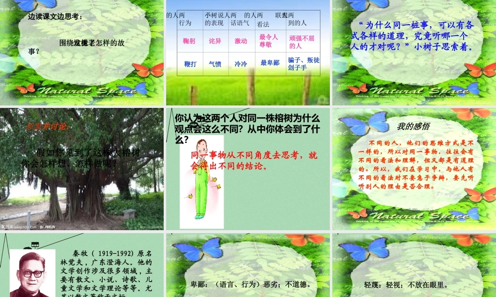 秋三年级语文上册《一株老树和两个怪人》课件1 冀教版-冀教版小学三年级上册语文课件