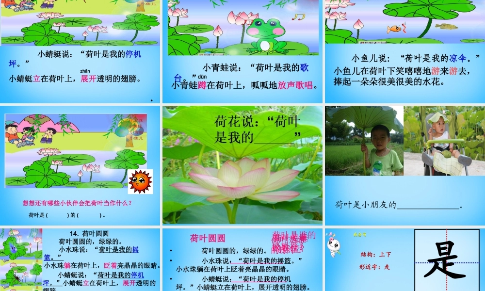 秋一年级语文上册《荷叶圆圆》课件2 沪教版-沪教版小学一年级上册语文课件