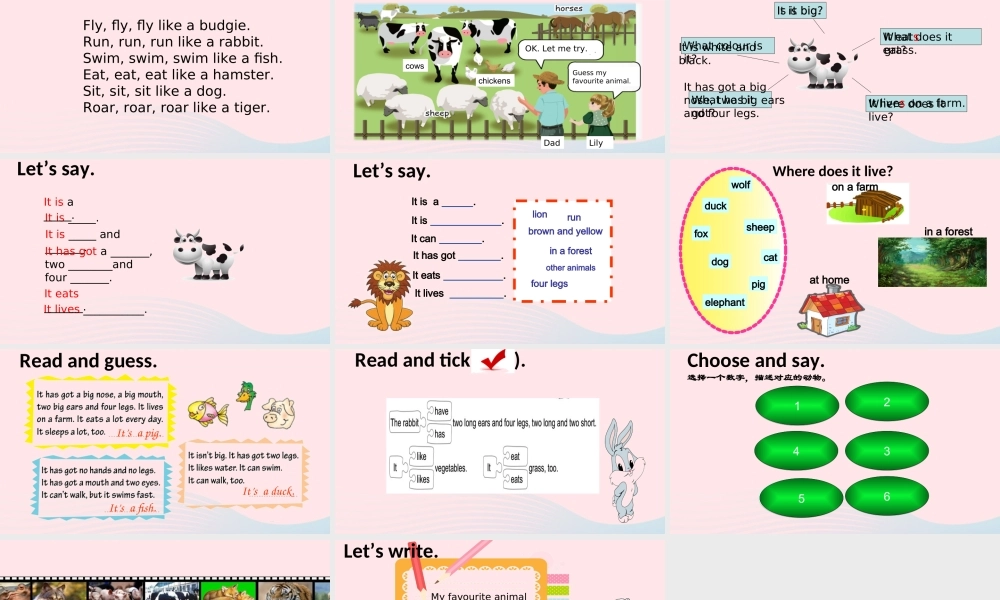 春四年级英语下册 Unit 3 Animals课件6 剑桥版-人教版小学四年级下册英语课件