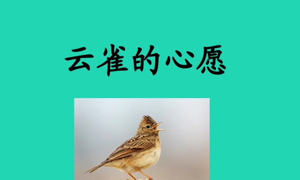 春四年级语文下册 第六单元 19《云雀的心愿》教学课件 苏教版-苏教版小学四年级下册语文课件