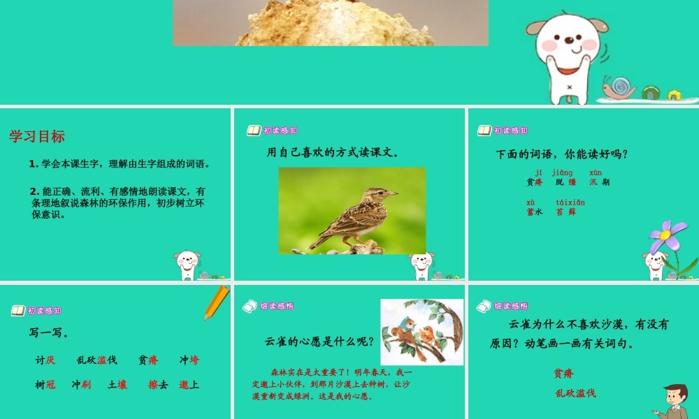 春四年级语文下册 第六单元 19《云雀的心愿》教学课件 苏教版-苏教版小学四年级下册语文课件