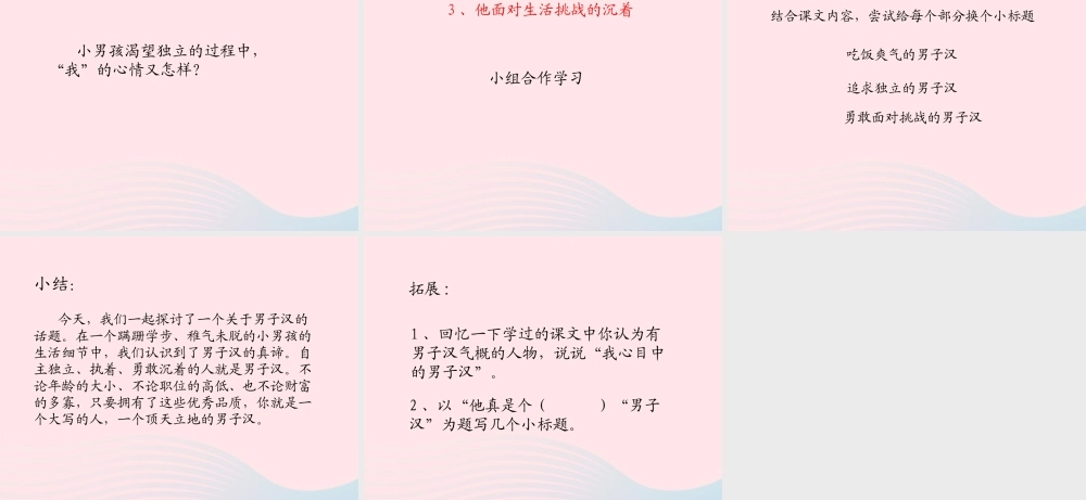 春四年级语文下册 第六单元 19我家的男子汉课件 新人教版-新人教版小学四年级下册语文课件