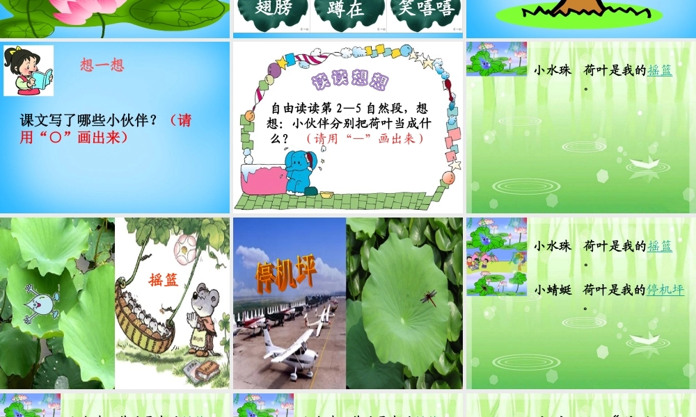 秋一年级语文上册《荷叶圆圆》课件3 沪教版-沪教版小学一年级上册语文课件