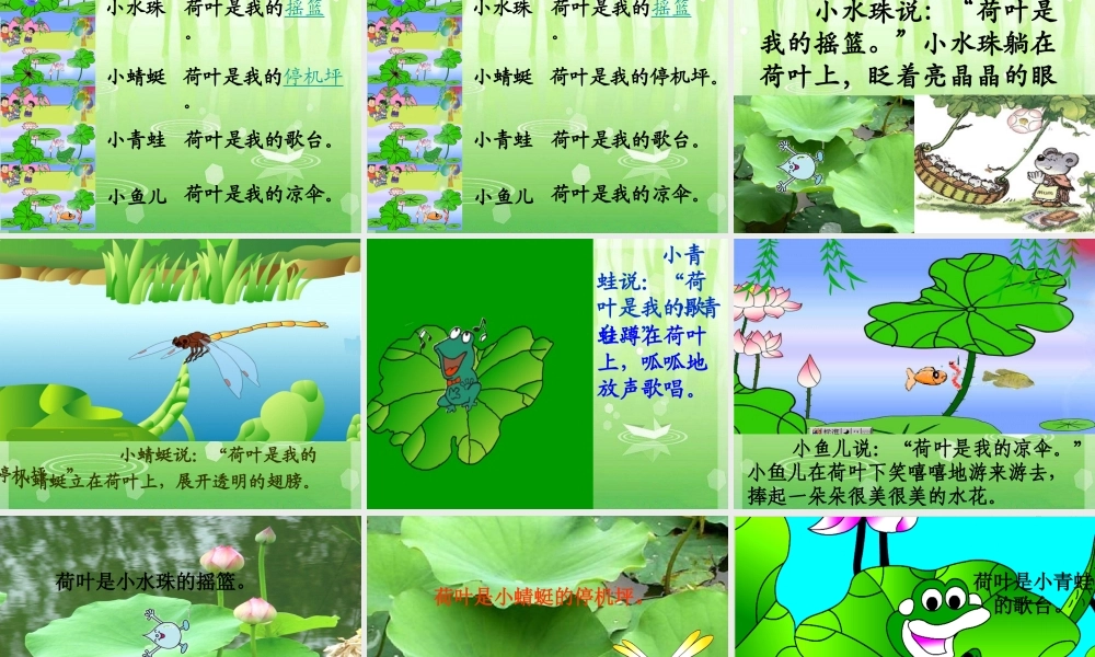 秋一年级语文上册《荷叶圆圆》课件3 沪教版-沪教版小学一年级上册语文课件