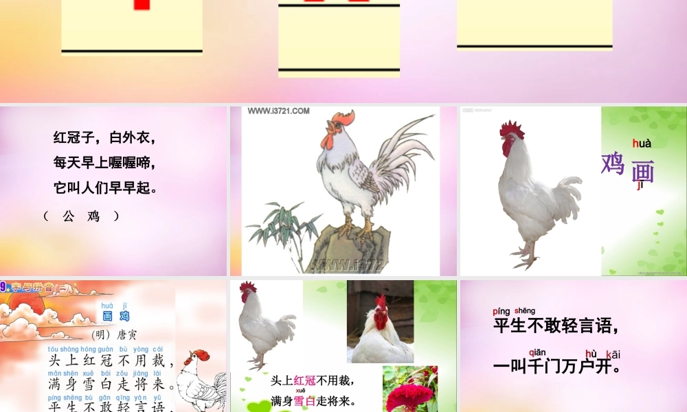 秋一年级语文上册《画鸡》课件1 北师大版-北师大版小学一年级上册语文课件