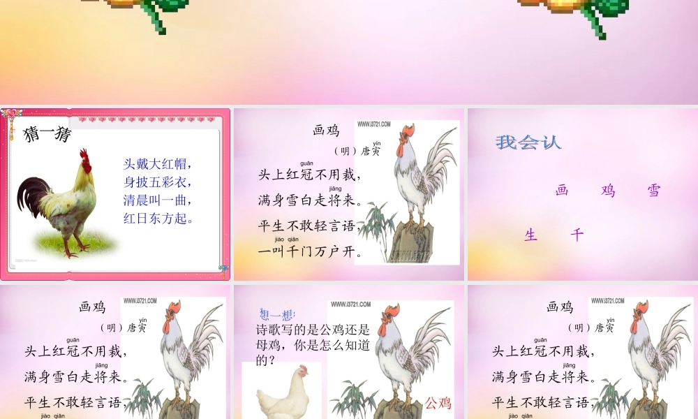 秋一年级语文上册《画鸡》课件2 北师大版-北师大版小学一年级上册语文课件