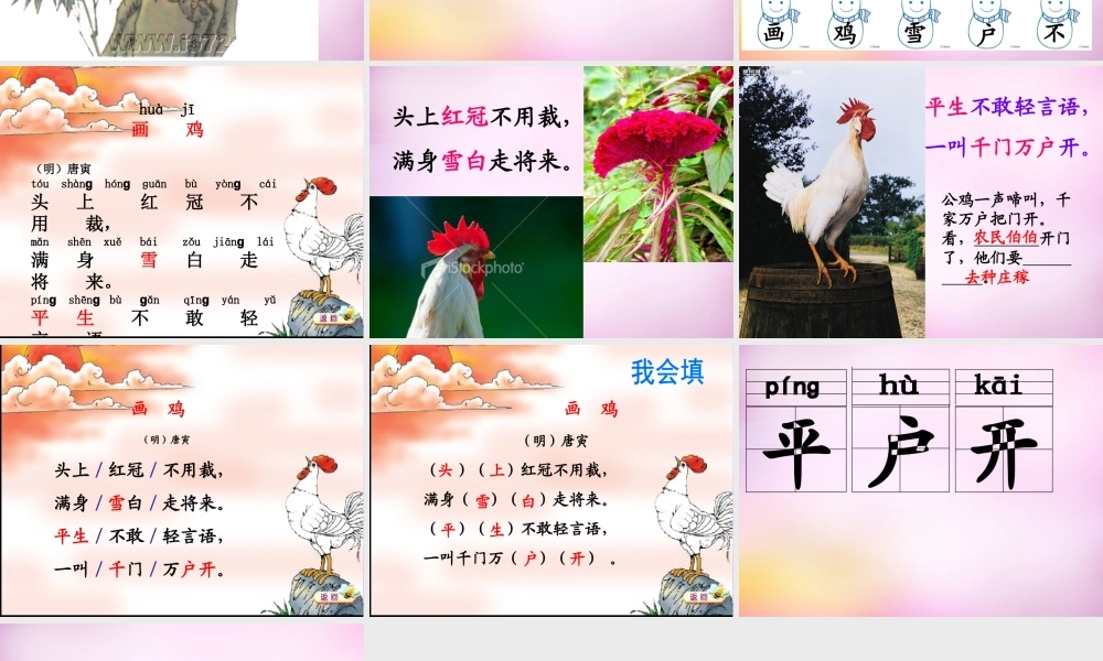 秋一年级语文上册《画鸡》课件3 北师大版-北师大版小学一年级上册语文课件