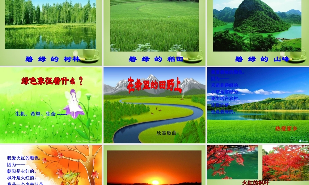 秋三年级语文上册《爱什么颜色》课件1 北师大版-北师大版小学三年级上册语文课件