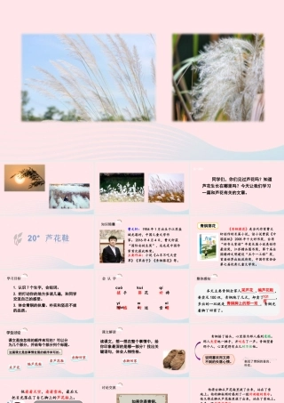 春四年级语文下册 第六单元 20芦花鞋课堂教学课件 新人教版-新人教版小学四年级下册语文课件