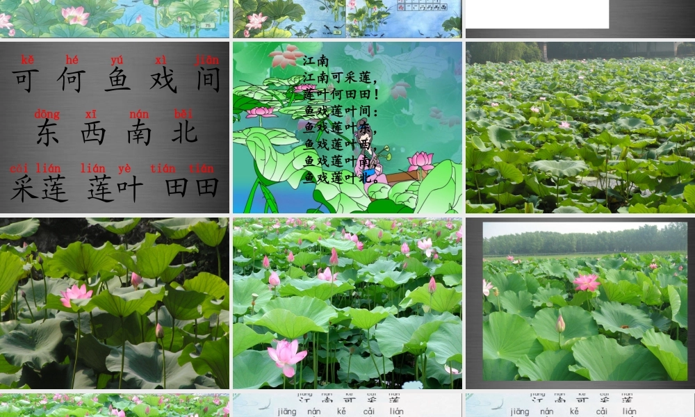 秋一年级语文上册《江南》课件2 冀教版-冀教版小学一年级上册语文课件