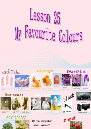 春四年级英语下册 Unit 4 My Favourites Lesson 19 My Favourite Colours课件 冀教版（三起）-冀教版小学四年级下册英语课件