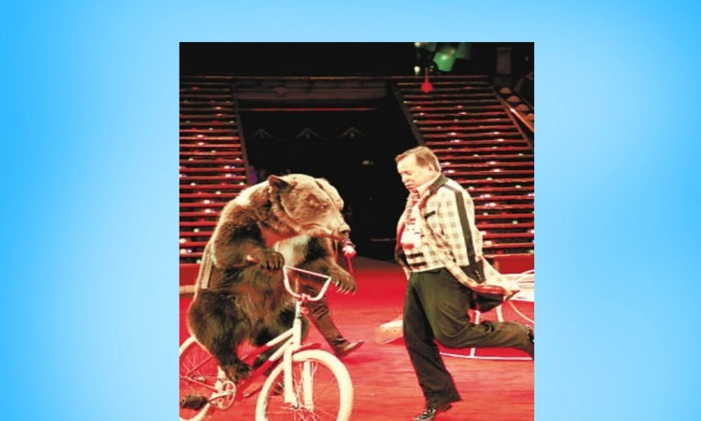 秋一年级语文上册《看马戏》课件2 沪教版-沪教版小学一年级上册语文课件