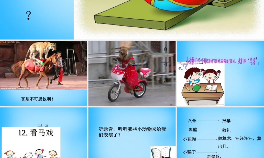 秋一年级语文上册《看马戏》课件3 沪教版-沪教版小学一年级上册语文课件