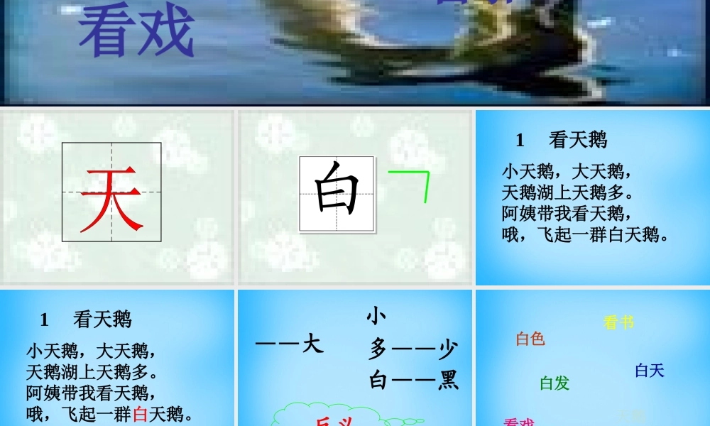 秋一年级语文上册《看天鹅》课件1 沪教版-沪教版小学一年级上册语文课件