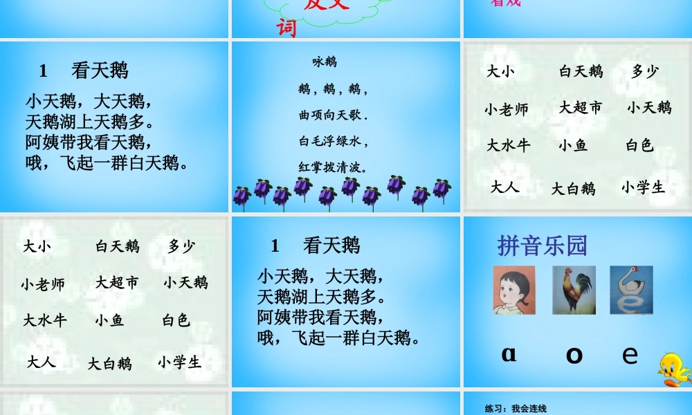 秋一年级语文上册《看天鹅》课件1 沪教版-沪教版小学一年级上册语文课件